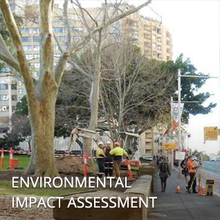 home_enviro-impact